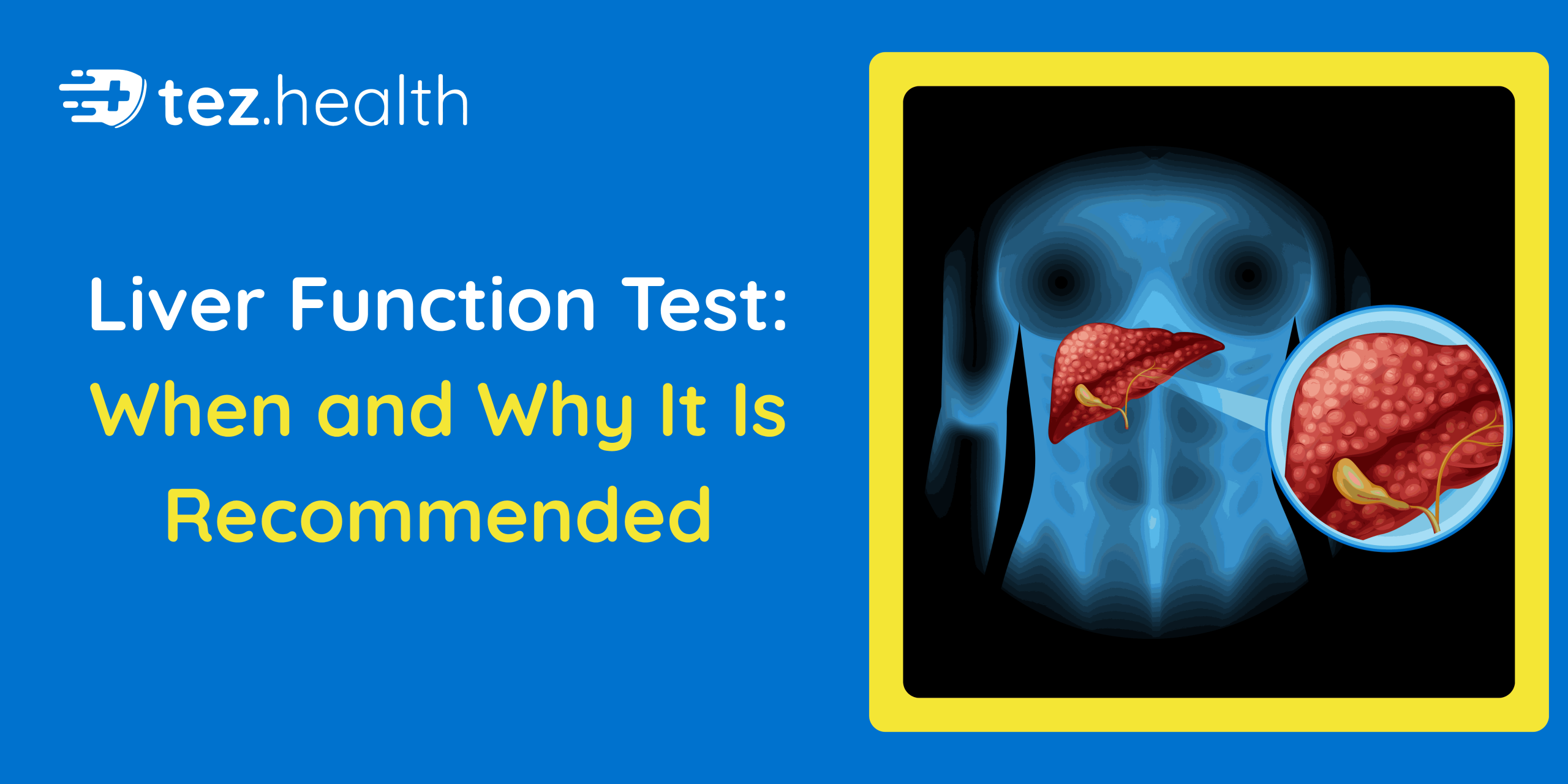 Liver Function Test: When and Why It Is Recommended