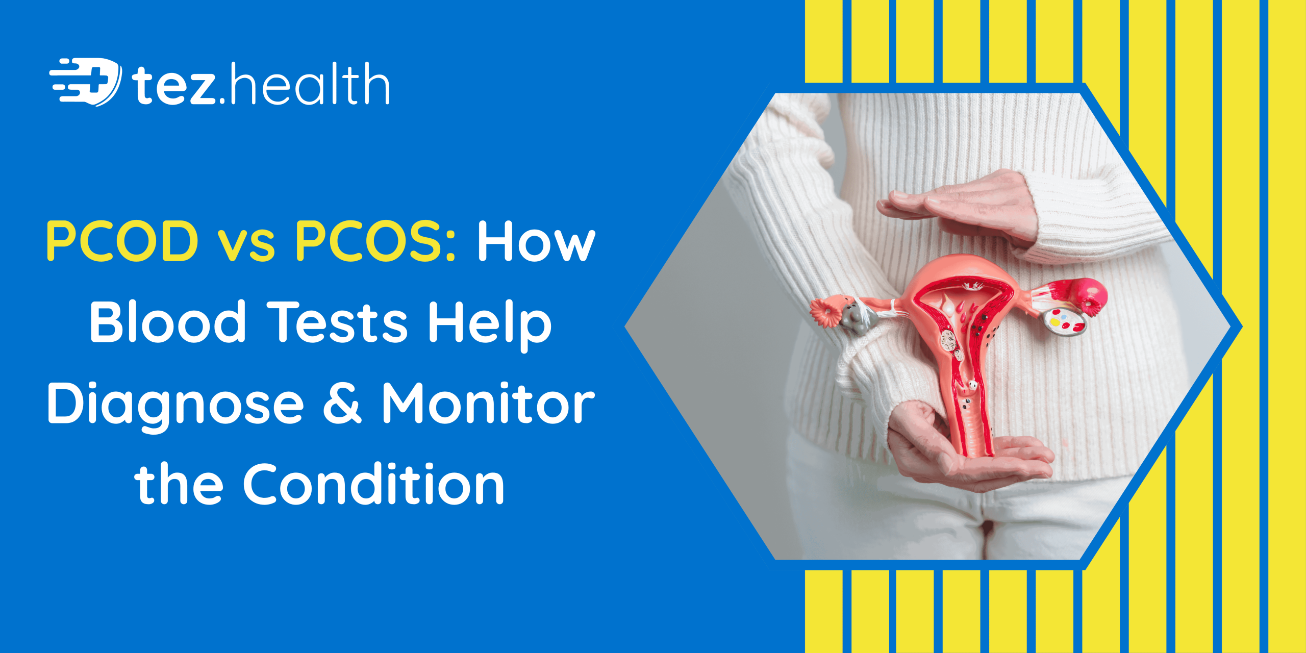 PCOD vs PCOS: How Blood Tests Help Diagnose & Monitor the Condition