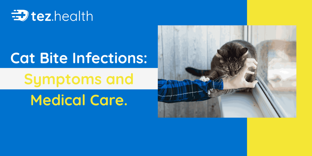 Cat Bite Infections: Symptoms and Medical Care