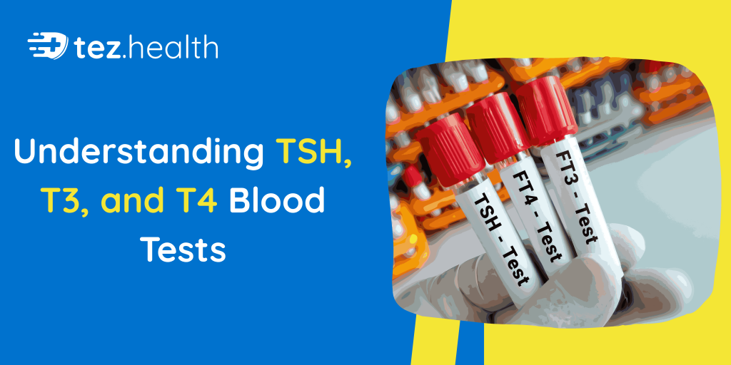 Understanding TSH, T3, and T4 Blood Tests
