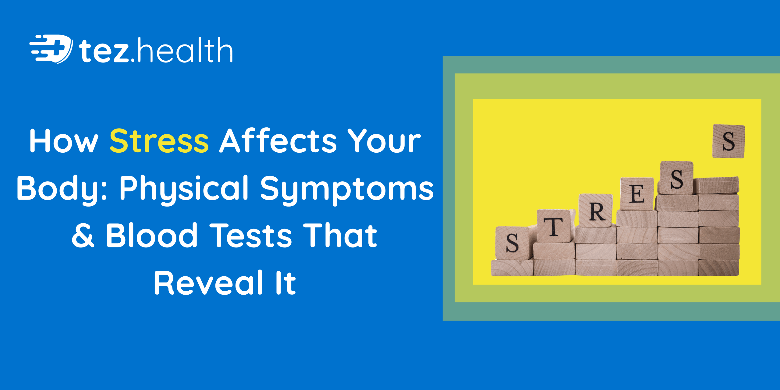 How Stress Affects Your Body: Physical Symptoms & Blood Tests That Reveal It